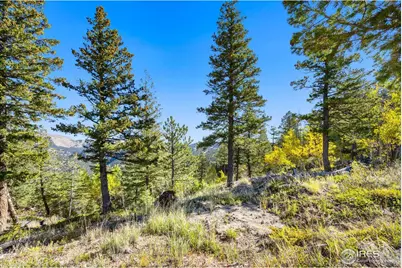 323 Roxbury Dr, Boulder, CO 80302 - Photo 8