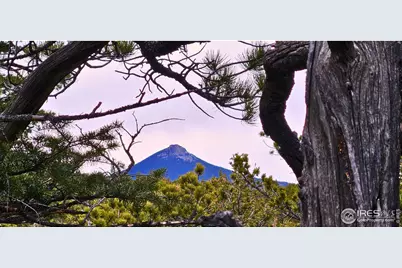 12190 State Highway 7, Allenspark, CO 80510 - Photo 4