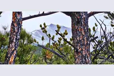 12190 State Highway 7, Allenspark, CO 80510 - Photo 2