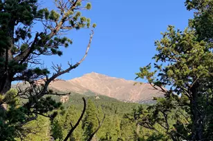 12190 State Hwy 7, Allenspark, CO 80510 - Photo 1