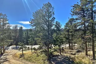 24192 W County Rd 74e, Red Feather Lakes, CO 80545 - Photo 2