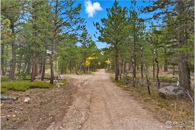 0 County Road 84 W, Allenspark, CO 80510 - Photo 10