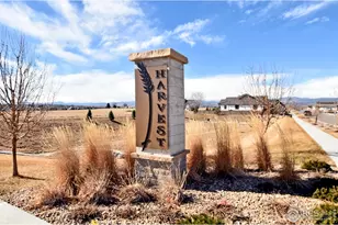 1346 Burt Ave, Berthoud, CO 80513 - Photo 1