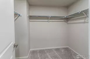 5409 Yancy St, Timnath, CO 80547 - Photo 34