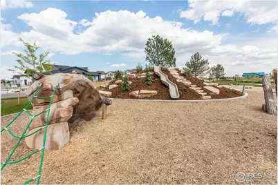 6117 Saddle Horn Dr, Timnath, CO 80547 - Photo 44