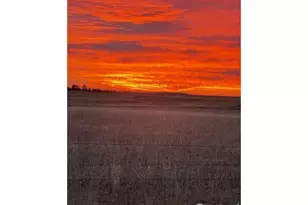 39281 Co Rd 38, Fleming, CO 80728 - Photo 50