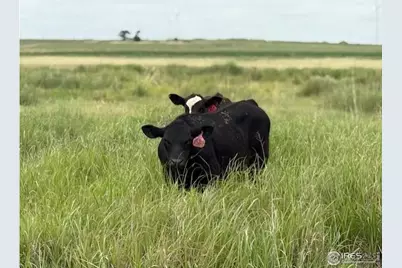 39281 County Road 38, Fleming, CO 80728 - Photo 48