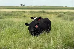 39281 Co Rd 38, Fleming, CO 80728 - Photo 48