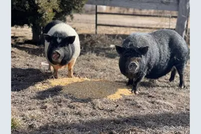 39281 County Road 38, Fleming, CO 80728 - Photo 12