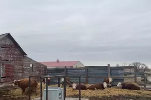 39281 Co Rd 38, Fleming, CO 80728 - Photo 14