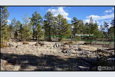 129 Kiliwa Ct, Red Feather Lakes, CO 80545 - Photo 2