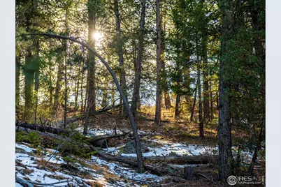 2127 US Highway 34, Drake, CO 80515 - Photo 30