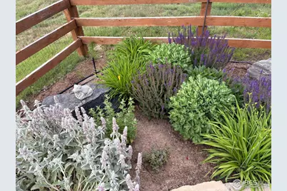 1033 Zodo Ave, Erie, CO 80516 - Photo 46