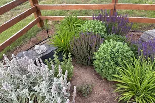 1033 Zodo Ave, Erie, CO 80516 - Photo 46