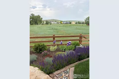 1033 Zodo Ave, Erie, CO 80516 - Photo 48