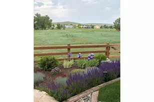 1033 Zodo Ave, Erie, CO 80516 - Photo 48