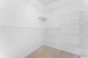 3525 Auntie Stone St, Fort Collins, CO 80526 - Photo 22