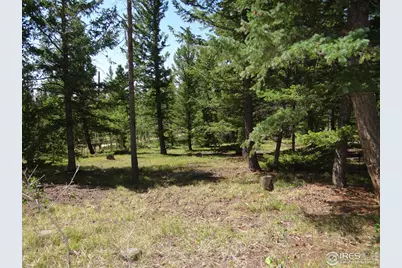 257 Jicarilla Trl, Red Feather Lakes, CO 80545 - Photo 14