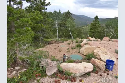 1601 Osage Trl, Red Feather Lakes, CO 80545 - Photo 14