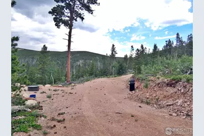 1601 Osage Trl, Red Feather Lakes, CO 80545 - Photo 16