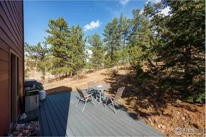 156 Mountain Meadow Ln, Bellvue, CO 80512 - Photo 26