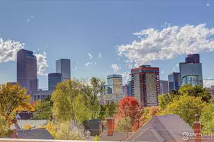 2139 N Downing St, Denver, CO 80205 - Photo 26