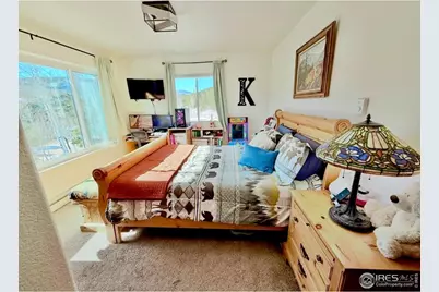 3689 Ottawa Way, Red Feather Lakes, CO 80545 - Photo 26