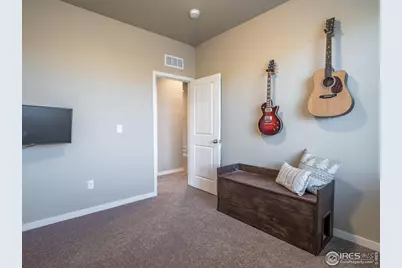 3893 Sweetgum St, Wellington, CO 80549 - Photo 10