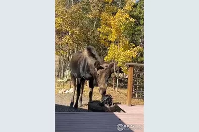 220 Timber Rd, Black Hawk, CO 80422 - Photo 30