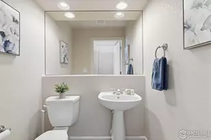 1820 E Seadrift Dr, Windsor, CO 80550 - Photo 30