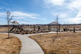 1377 Siltstone St, Erie, CO 80516 - Photo 42