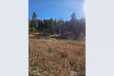 620 Davis Ranch Rd, Bellvue, CO 80512 - Photo 12