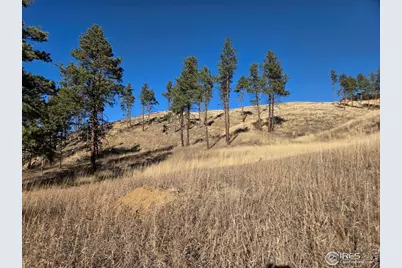 620 Davis Ranch Rd, Bellvue, CO 80512 - Photo 6