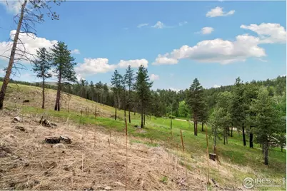 620 Davis Ranch Rd, Bellvue, CO 80512 - Photo 10