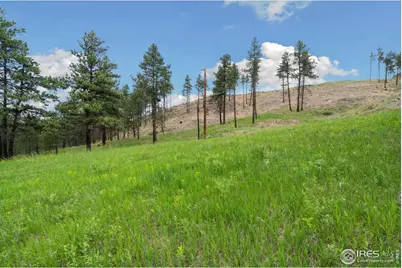 620 Davis Ranch Rd, Bellvue, CO 80512 - Photo 4
