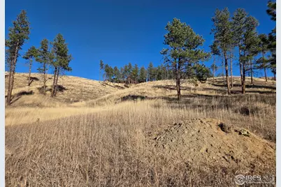 620 Davis Ranch Rd, Bellvue, CO 80512 - Photo 8