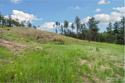 620 Davis Ranch Rd, Bellvue, CO 80512 - Photo 6