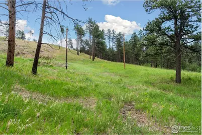 620 Davis Ranch Rd, Bellvue, CO 80512 - Photo 14