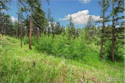 620 Davis Ranch Rd, Bellvue, CO 80512 - Photo 8