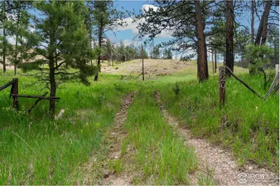 620 Davis Ranch Rd, Bellvue, CO 80512 - Photo 2