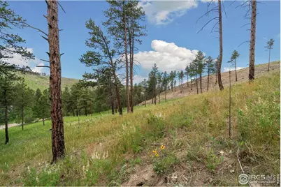 620 Davis Ranch Rd, Bellvue, CO 80512 - Photo 16