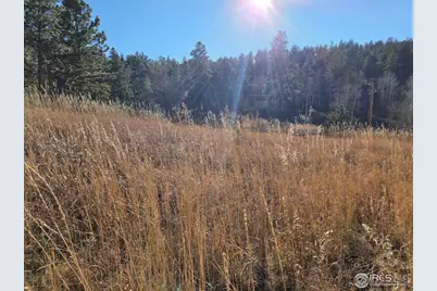 620 Davis Ranch Rd, Bellvue, CO 80512 - Photo 10