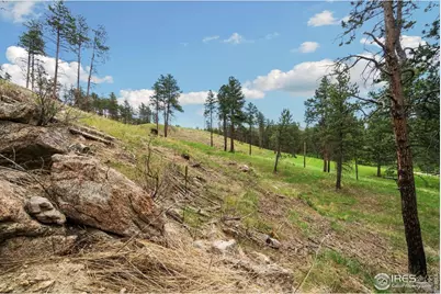 620 Davis Ranch Rd, Bellvue, CO 80512 - Photo 14