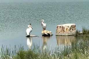 2415 Bluestem Willow Dr, Loveland, CO 80538 - Photo 46