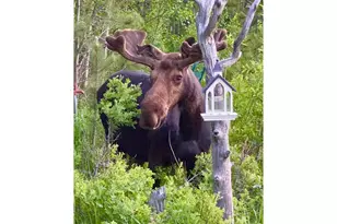 165 Valley Rd, Lyons, CO 80540 - Photo 34