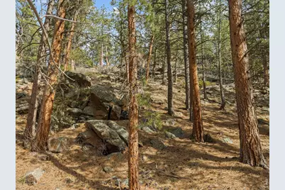 17667 Hwy 7, Lyons, CO 80540 - Photo 22