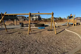 603 Green Mountain Dr, Erie, CO 80516 - Photo 50