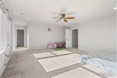 5233 2nd Ave, Timnath, CO 80547 - Photo 22