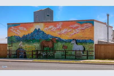 14571 Holstein Dr, Mead, CO 80542 - Photo 48