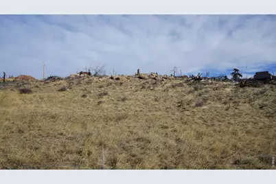 654 Horse Mountain Dr, Livermore, CO 80536 - Photo 12